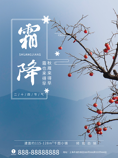 创意简约霜降摄影图节日海报