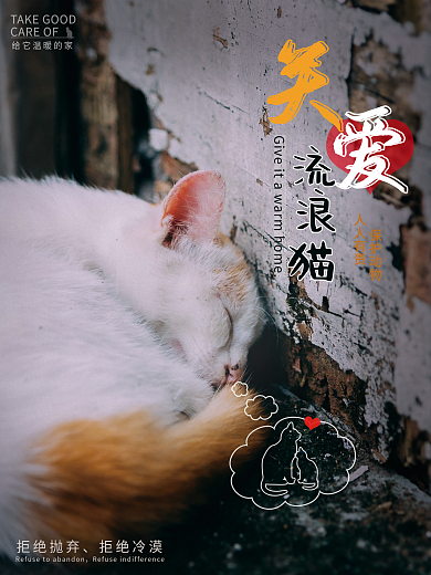 关爱宠物流浪猫保护动物摄影图海报