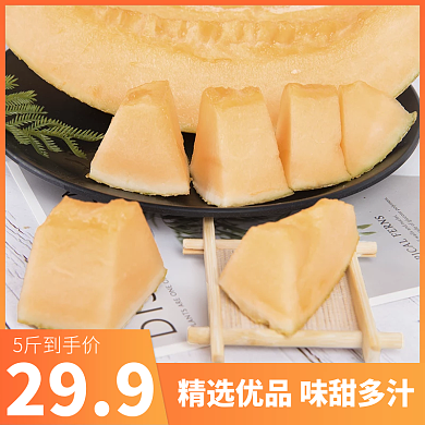 简约生鲜水果哈密瓜主图