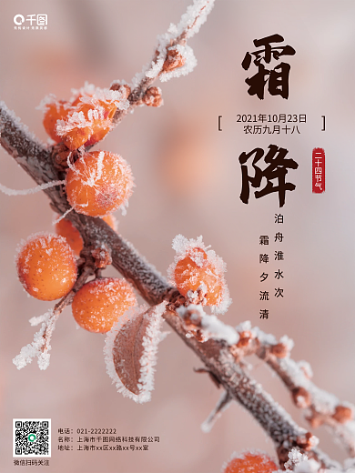 简约创意摄影秋冬二十四节气霜降柿子海报