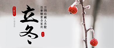 立冬雪冬天里结晶的红果子