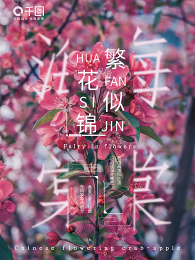 海棠摄影图宣传海报