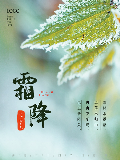 霜降简约小清新二十四节气结霜结冰霜降海报