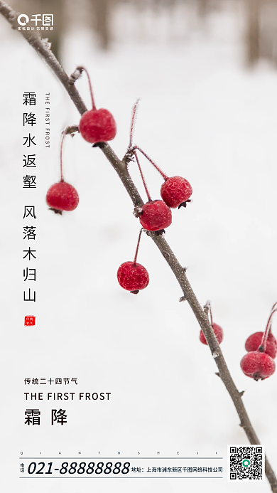 霜降传统节气手机海报