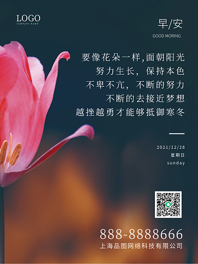 简约花卉摄影早安海报正能量励志心语日签