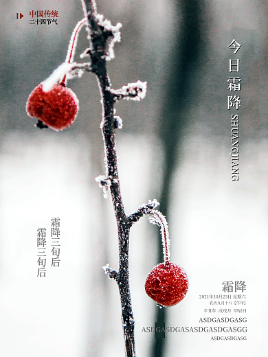 2021年二十四节气之霜降简约大气海报