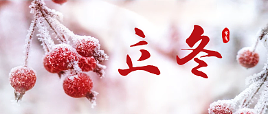 简约立冬公众号封面新媒体结冰植物背景素材