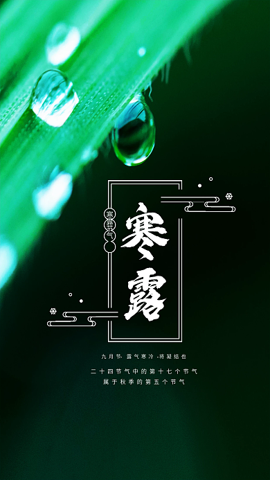 寒露手机海报二十四节气