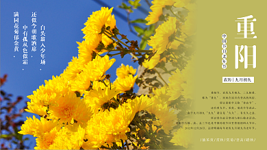 九九重阳节简约展板海报