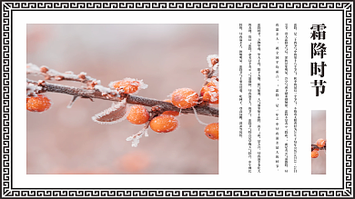 二十四节气霜降展板海报