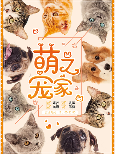 温暖清新猫狗背景宠物店可爱卡通萌宠海报