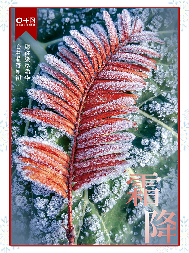 简约小清新摄影霜降海报