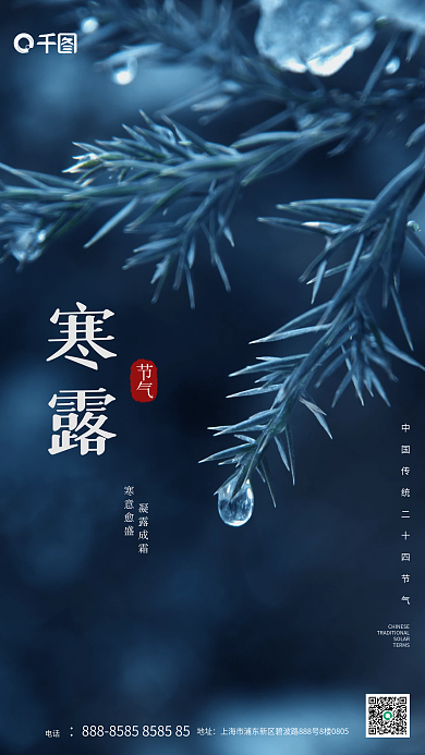 寒露摄影图简约清新传统节气宣传手机海报