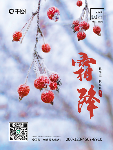 霜降节气海报简约大气二十四节气摄影图海报