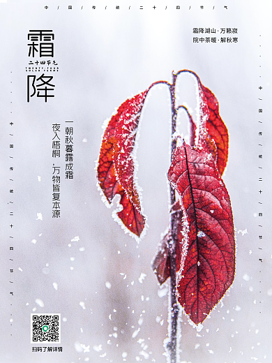 红叶结霜霜降二十四节气宣传海报