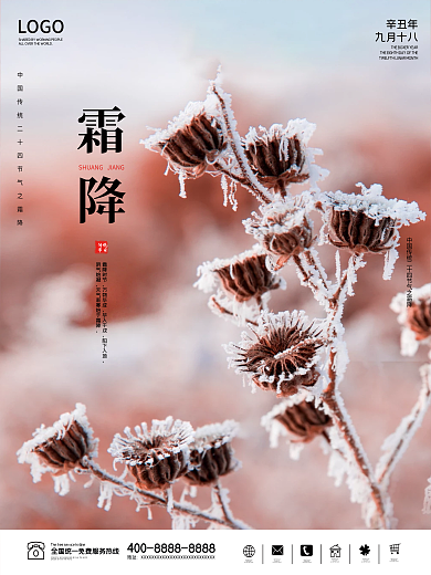 霜降海报传统节日二十四节气简约大气创意