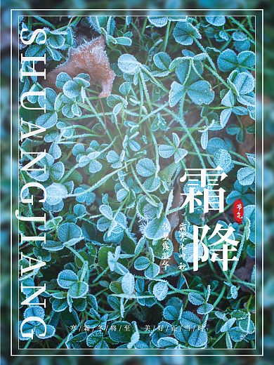 简约小清新三叶草霜降海报