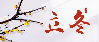 简约立冬公众号封面新媒体冬天腊梅背景素材