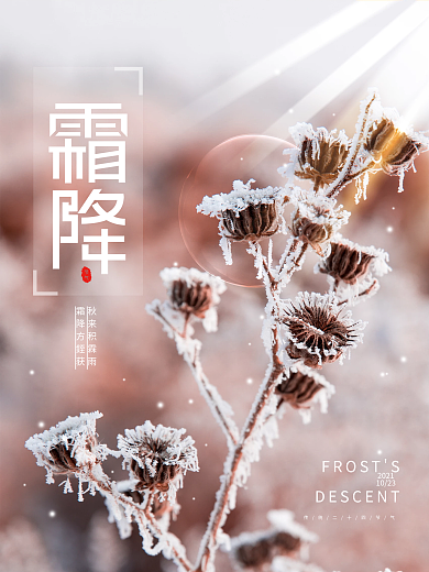 简约摄影图霜降传统二十四节气海报