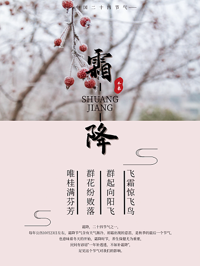 中国风霜降节气简约霜花摄影图节日海报