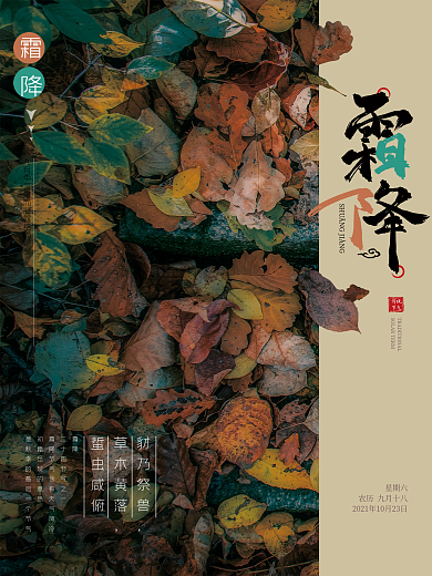 秋天落叶二十四节气霜降海报