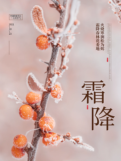 霜降二十四节气简约清新文艺海报设计