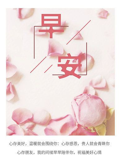 特邀新人日签摄影图海报