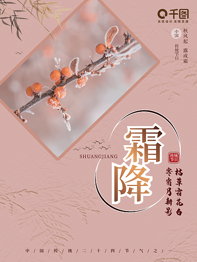 简约小清新摄影图霜降海报