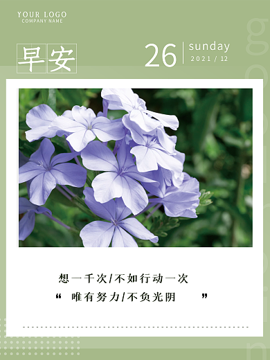 简约小清新花卉摄影图早安海报鼓励语录日签