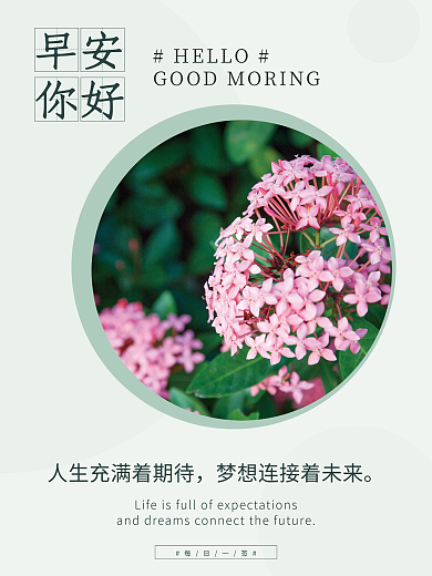 小清新花卉美图早安海报暖心语录日签