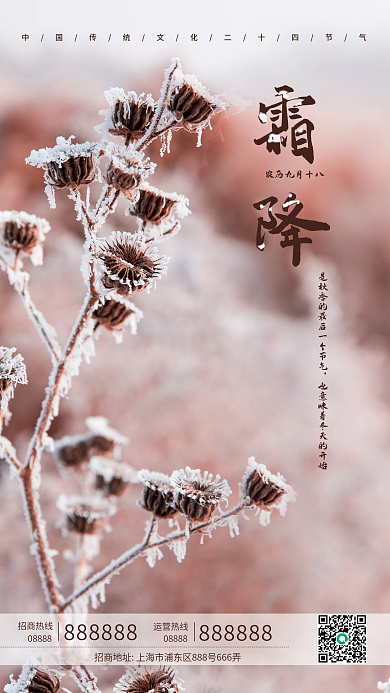 24节气霜降粉色雪花霜降新媒体手机海报