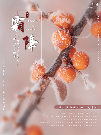 简洁霜降海报模板霜降节气海报模板