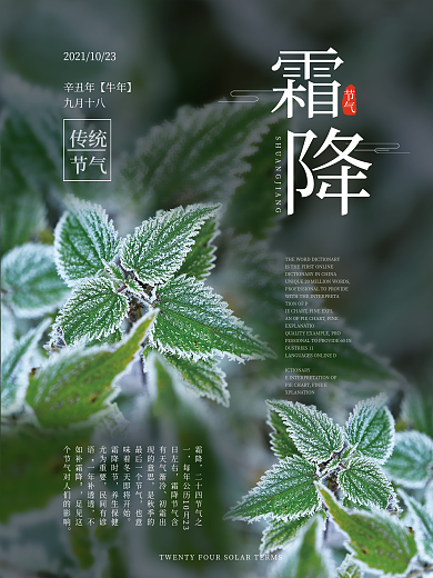 霜降传统节气大气宣传海报