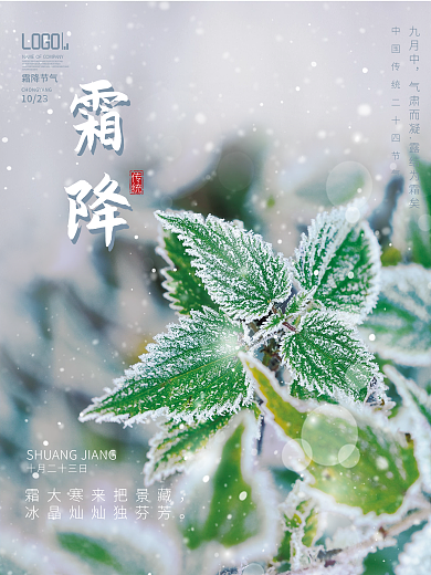 创意简约大气摄影图霜降节气宣传海报