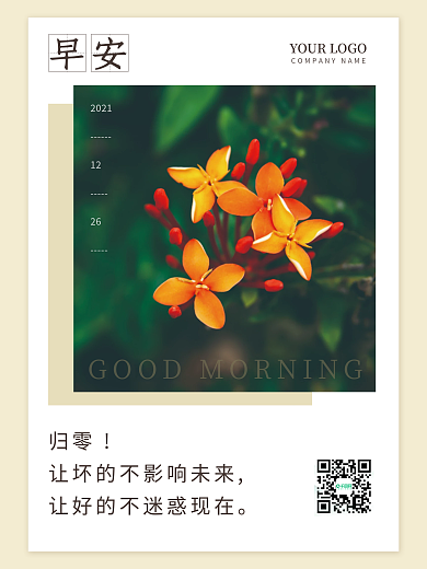 小清新简约花卉摄影图早安海报鸡汤语录日签