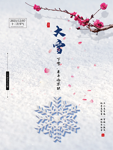 大雪节气海报白色简约雪景24节气海报