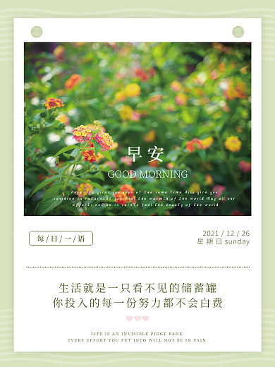 小清新花草美图早安海报励志鸡汤日签