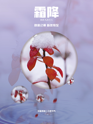 中国传统二十四节气之霜降简约宣传海报
