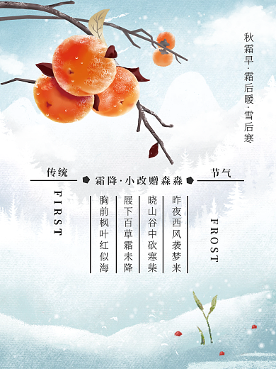 霜降节气雪场景唯美简约海报