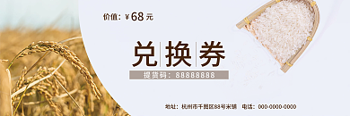 大米券兑换券简约清新代金券购物券