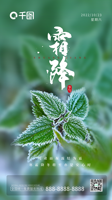 绿色叶子霜降二十四节气手机海报