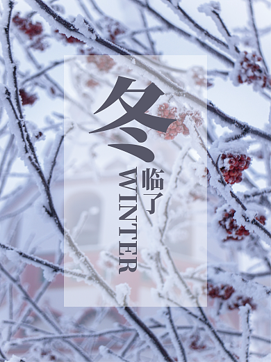 邂逅12月你好冬天