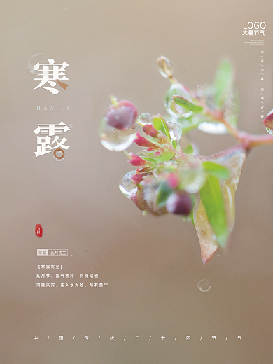 寒露简约二十四节气海报水滴露水