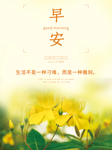小清新花卉美图早安海报正能量语录日签