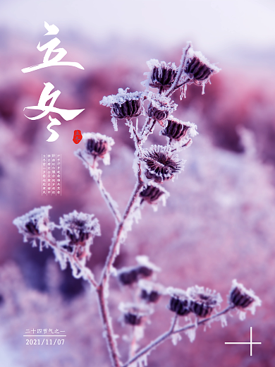 简约立冬摄影海报