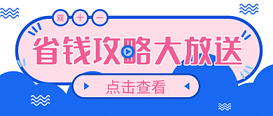 双十一省钱攻略大放送双色调风公众号封面
