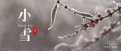 简约传统二十四节气小雪公众号封面