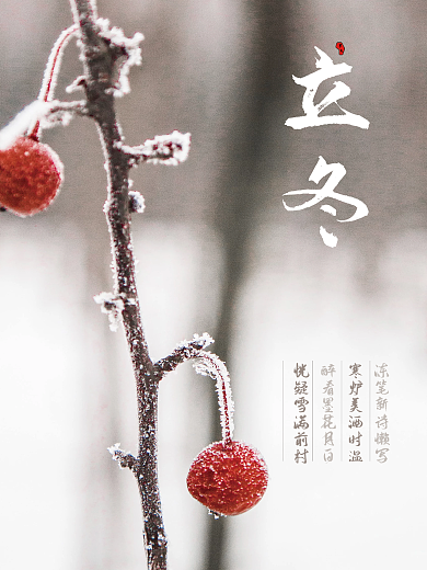 简约创意立冬摄影图节气海报