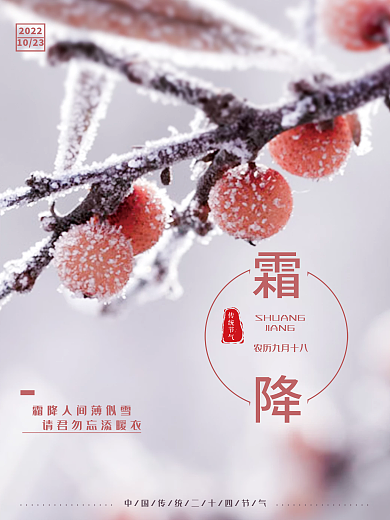 简约暖色调霜降节气海报