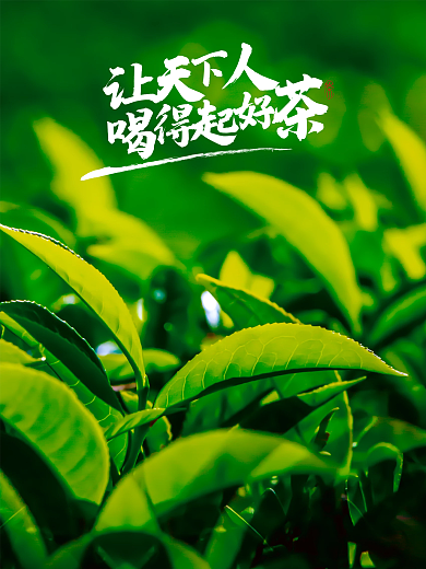 茶、好茶、喝茶、天下人